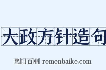 大政方针造句是什么意思的图片